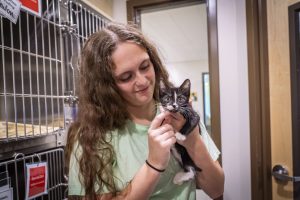 Humane society intern holding a black and white kitten