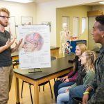 Psychology student discusses human anatomy poster featuring brain lobes with classmates
