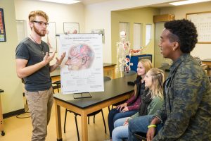 Psychology student discusses human anatomy poster featuring brain lobes with classmates