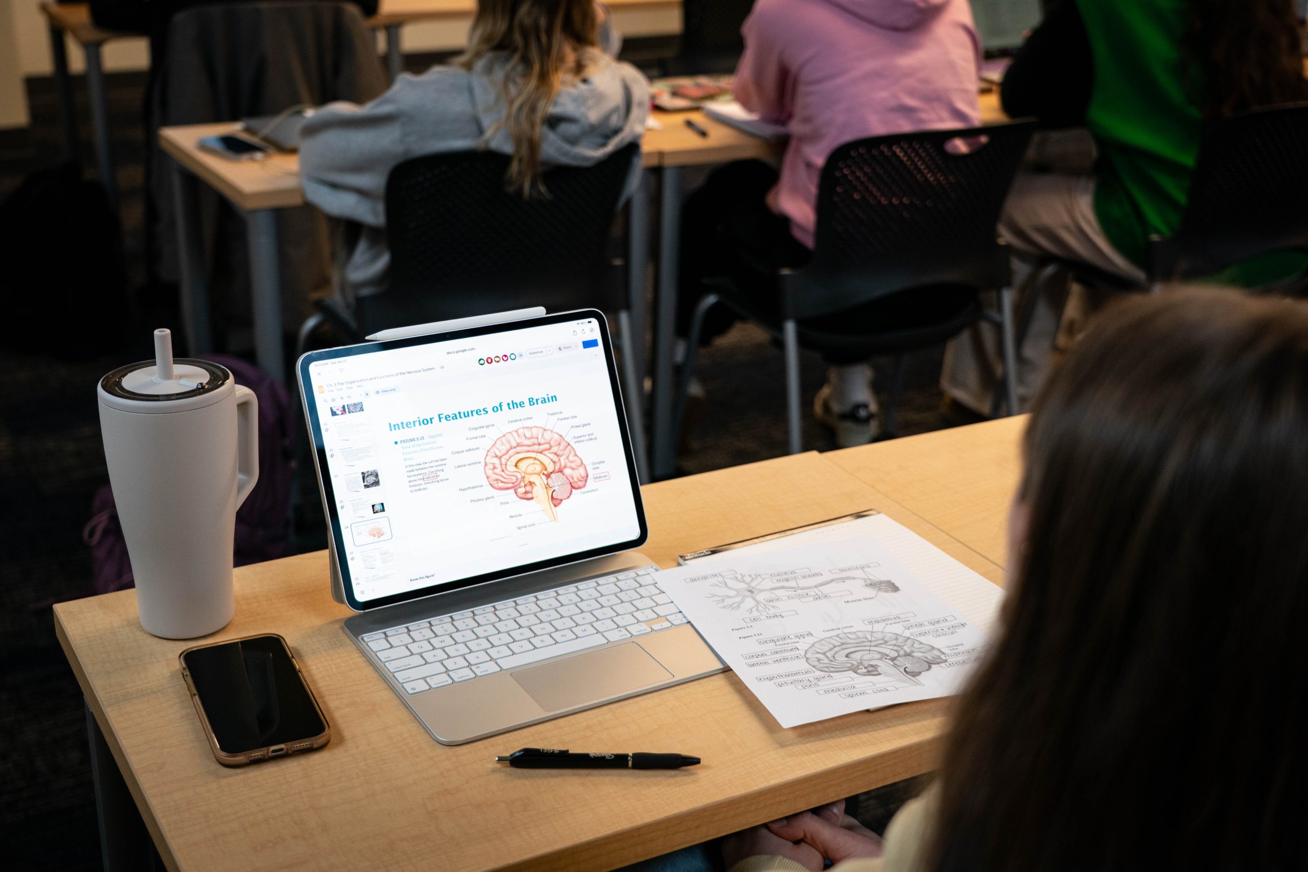 A psych student's tablet and worksheet displaying a diagram of brain anatomy