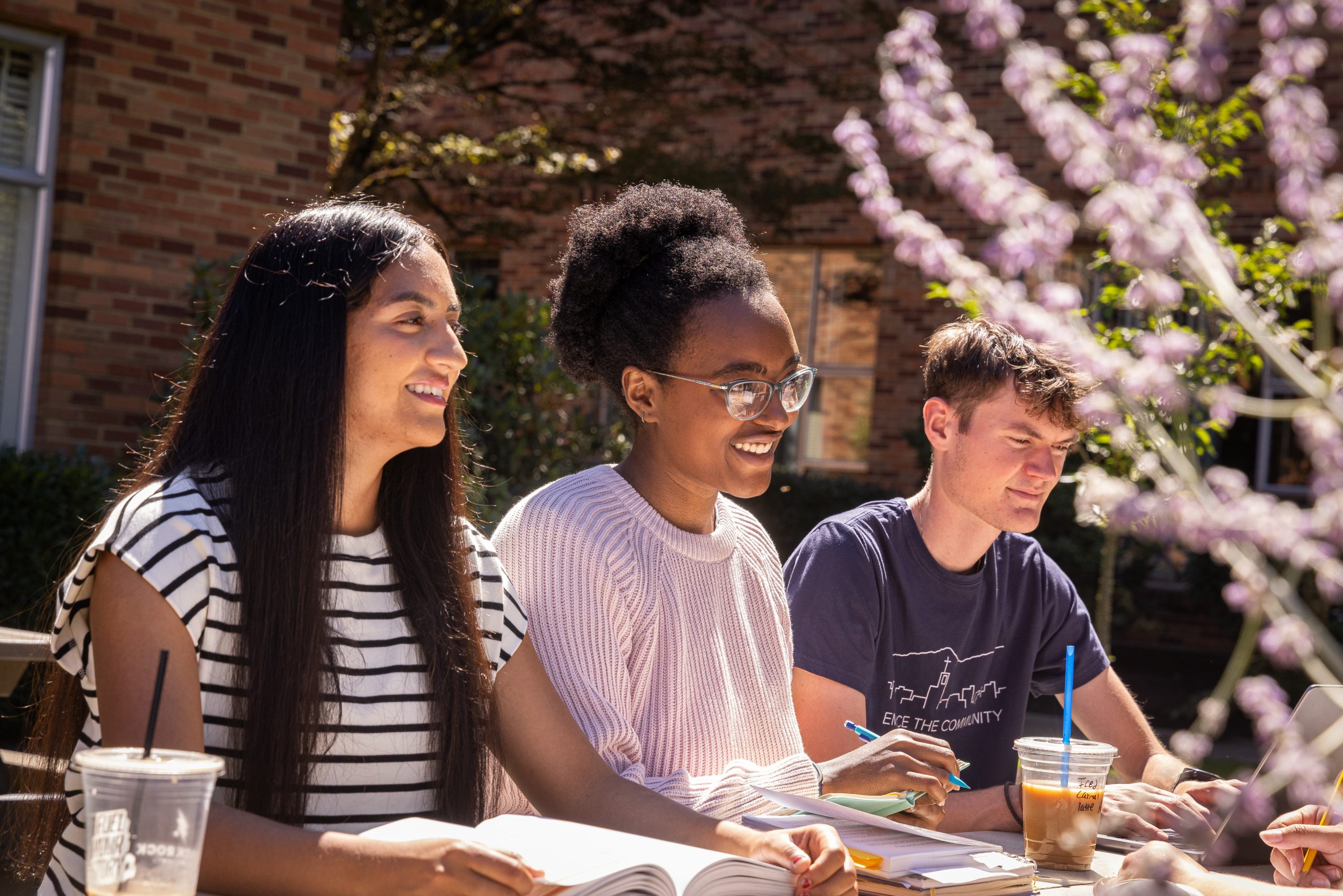 Bushnell University students collaborate on coursework outdoors while enjoying a sunny day on campus.