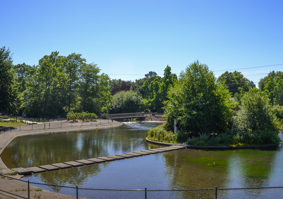 View of the pond and walking paths at Alton Baker Park in Eugene, Oregon.