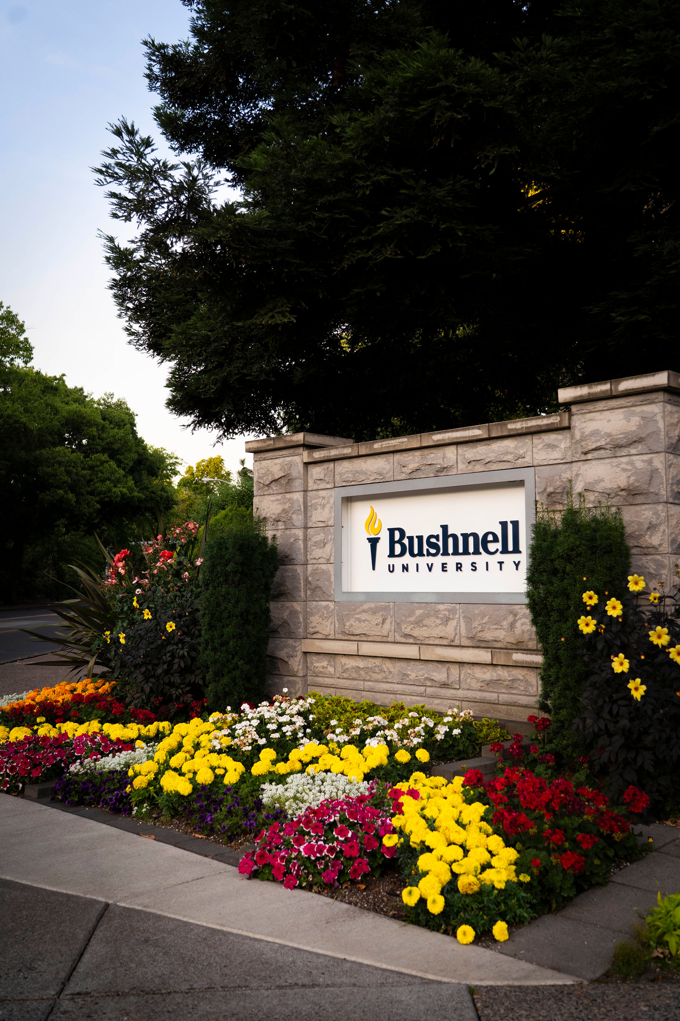 Bushnell University monument sign surrounded by flowers at sunset.