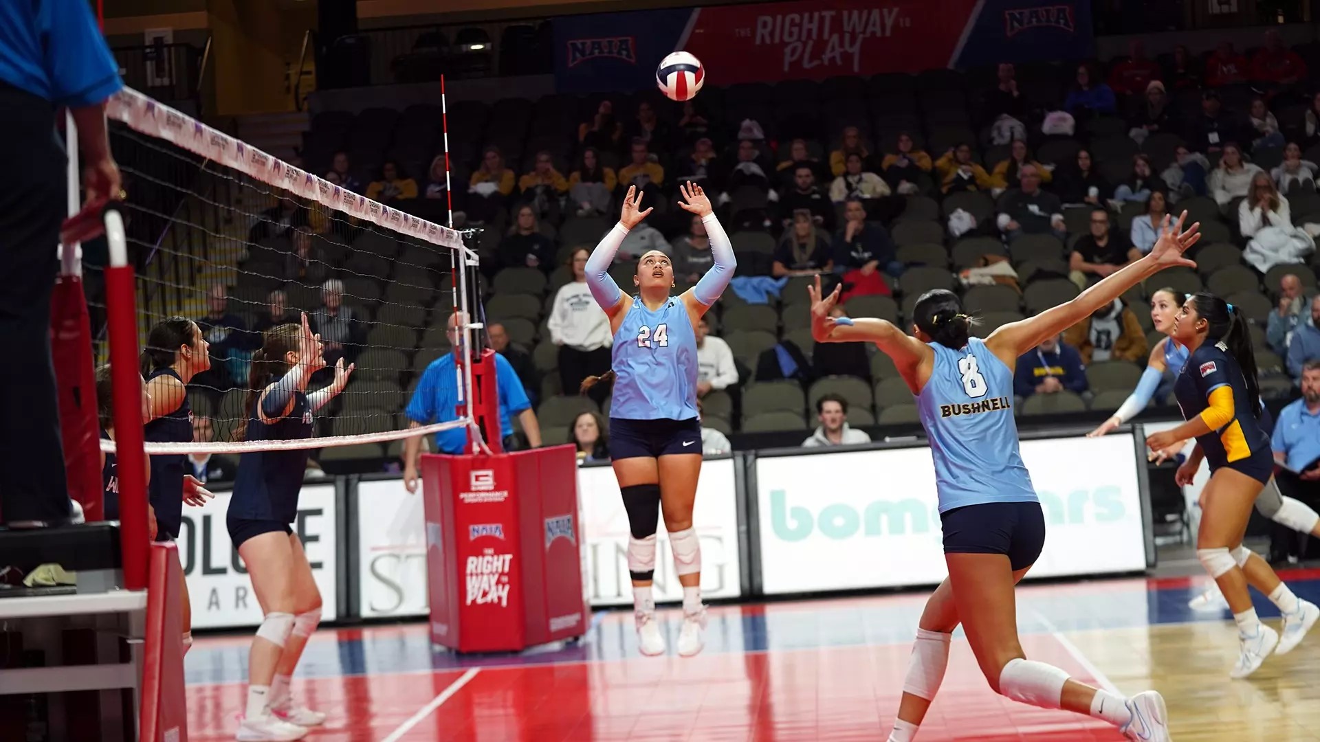 Bushnell University women's volleyball team competes during an NAIA postseason match.
