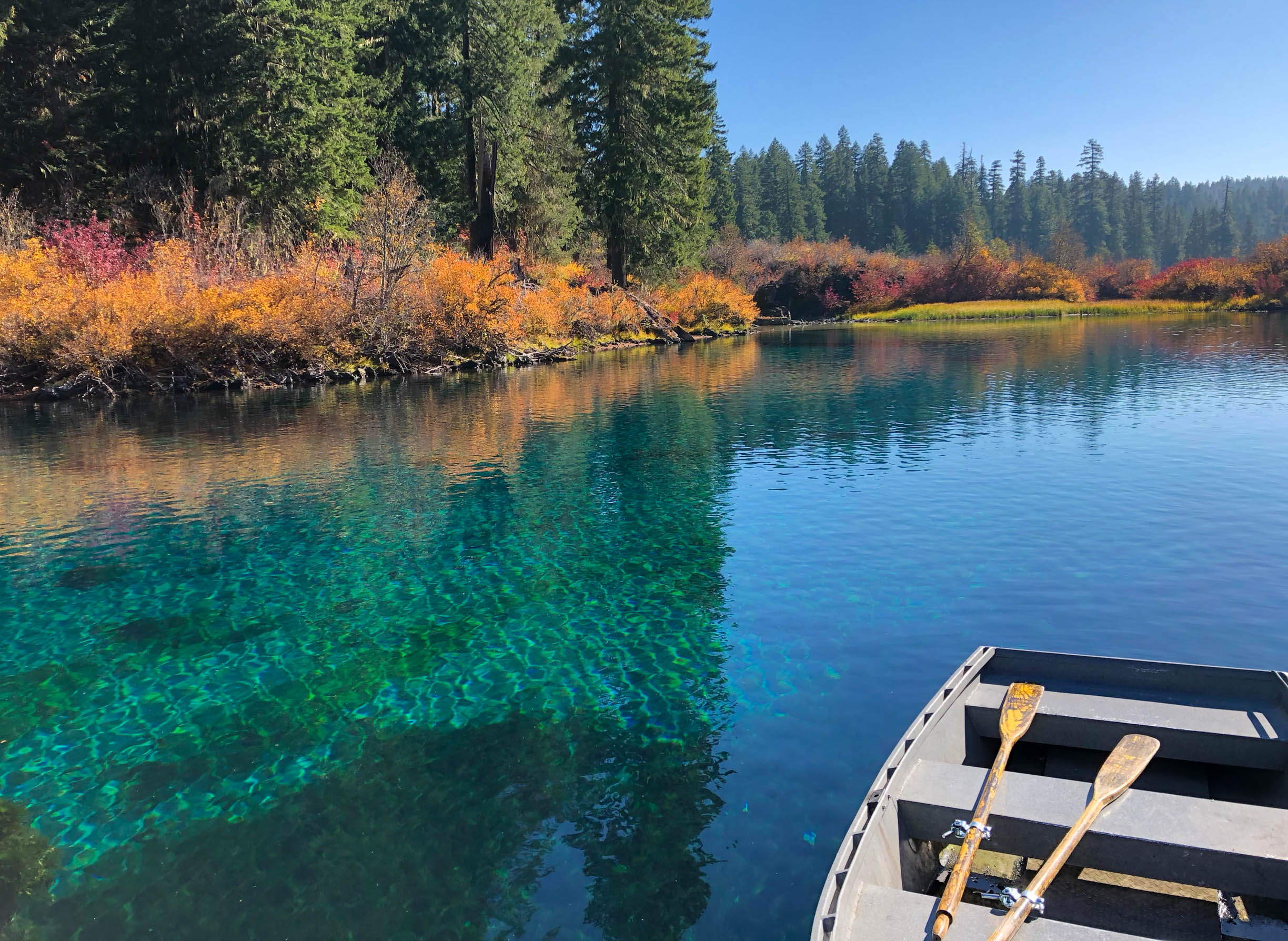 Crystal-clear waters of Clear Lake in Oregon surrounded by evergreen trees and colorful autumn foliage, with a rowboat in the foreground.