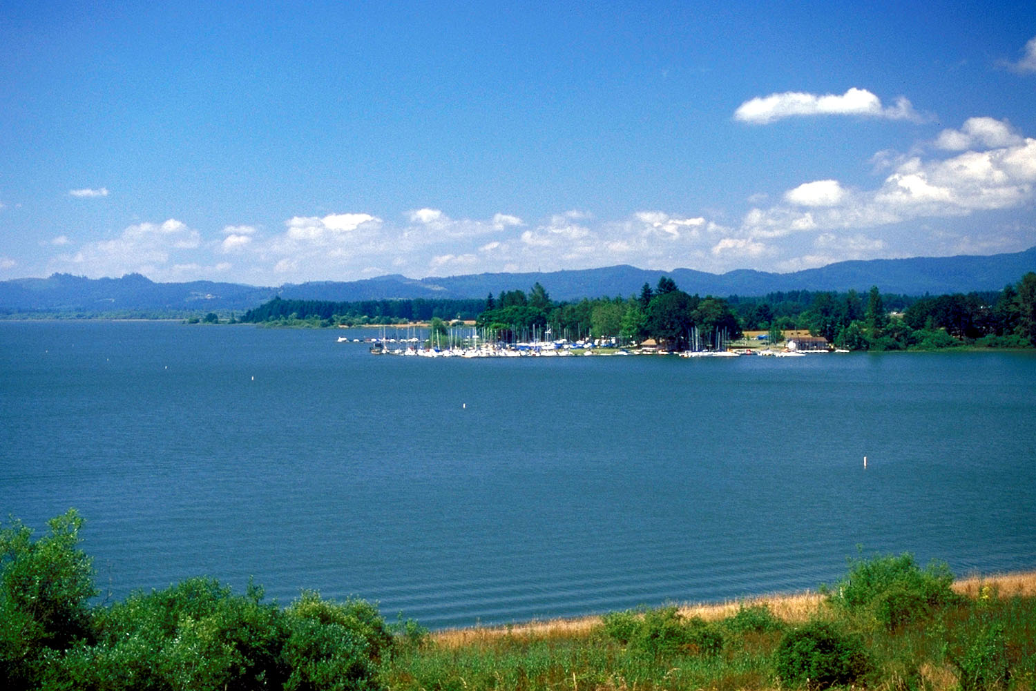 View of Fern Ridge Lake near Eugene, Oregon, with a marina, forested shoreline, and rolling hills under a blue sky.