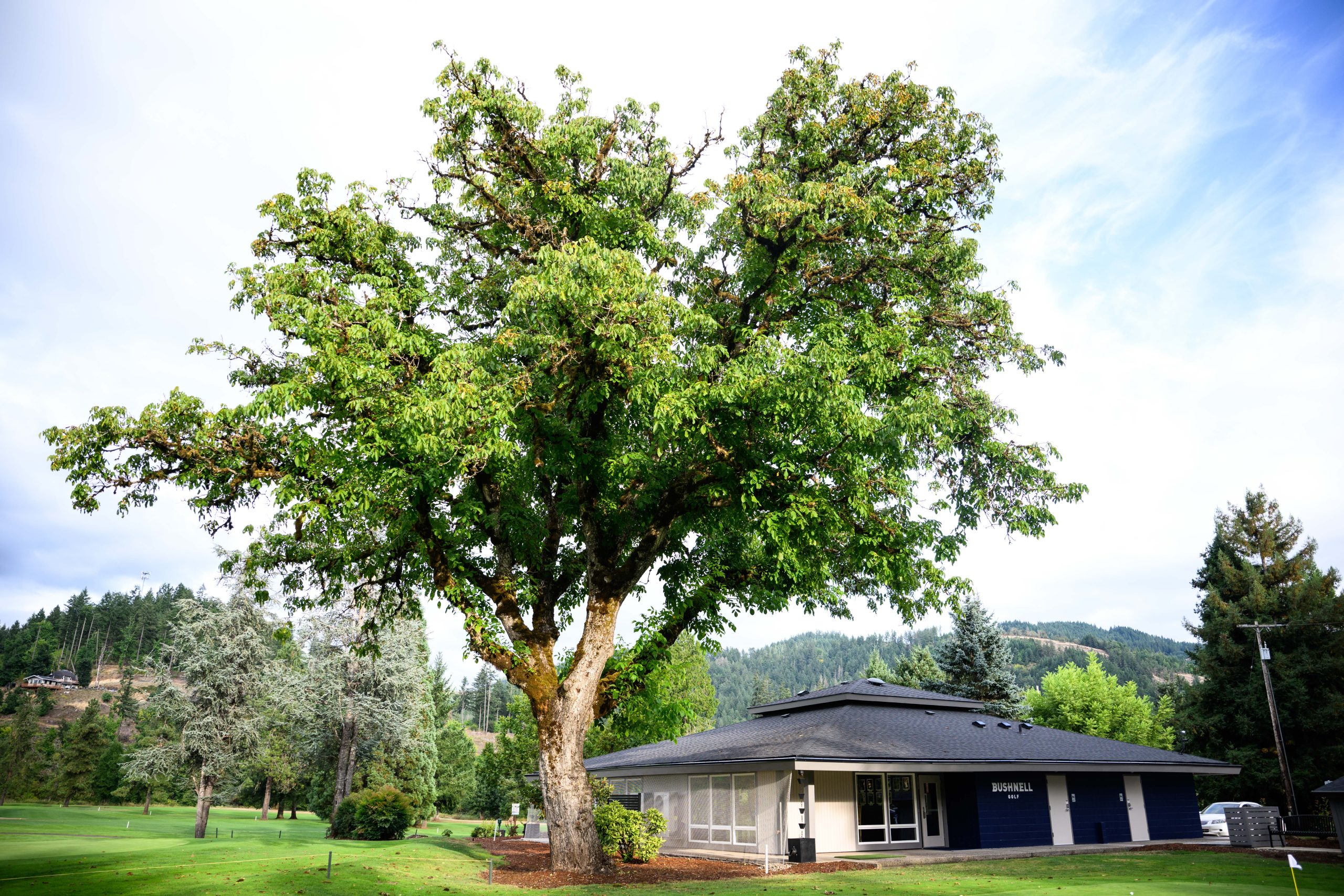 Bushnell University's Golf Player Development Center with a large tree and landscaped grounds.