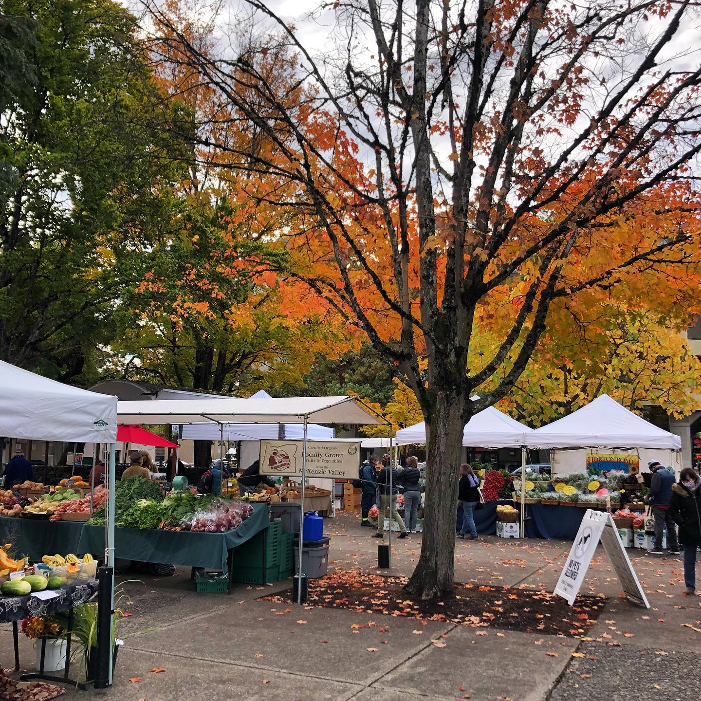 Visitors explore the Lane County Farmers Market in downtown Eugene, Oregon.
