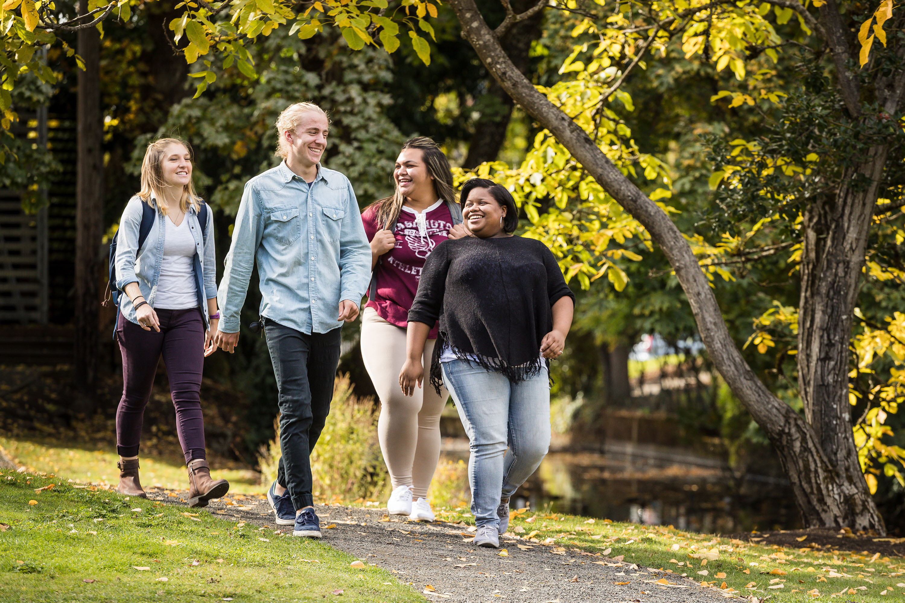 Group of students studying arts and sciences walking together.