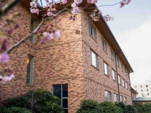 Burke-Griffeth dorm building in the spring with blooming cherry blossom tree.