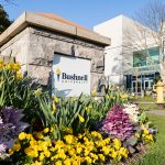 Bushnell University entrance sign surrounded by daffodils and colorful spring flowers with the Morse Center in the background.