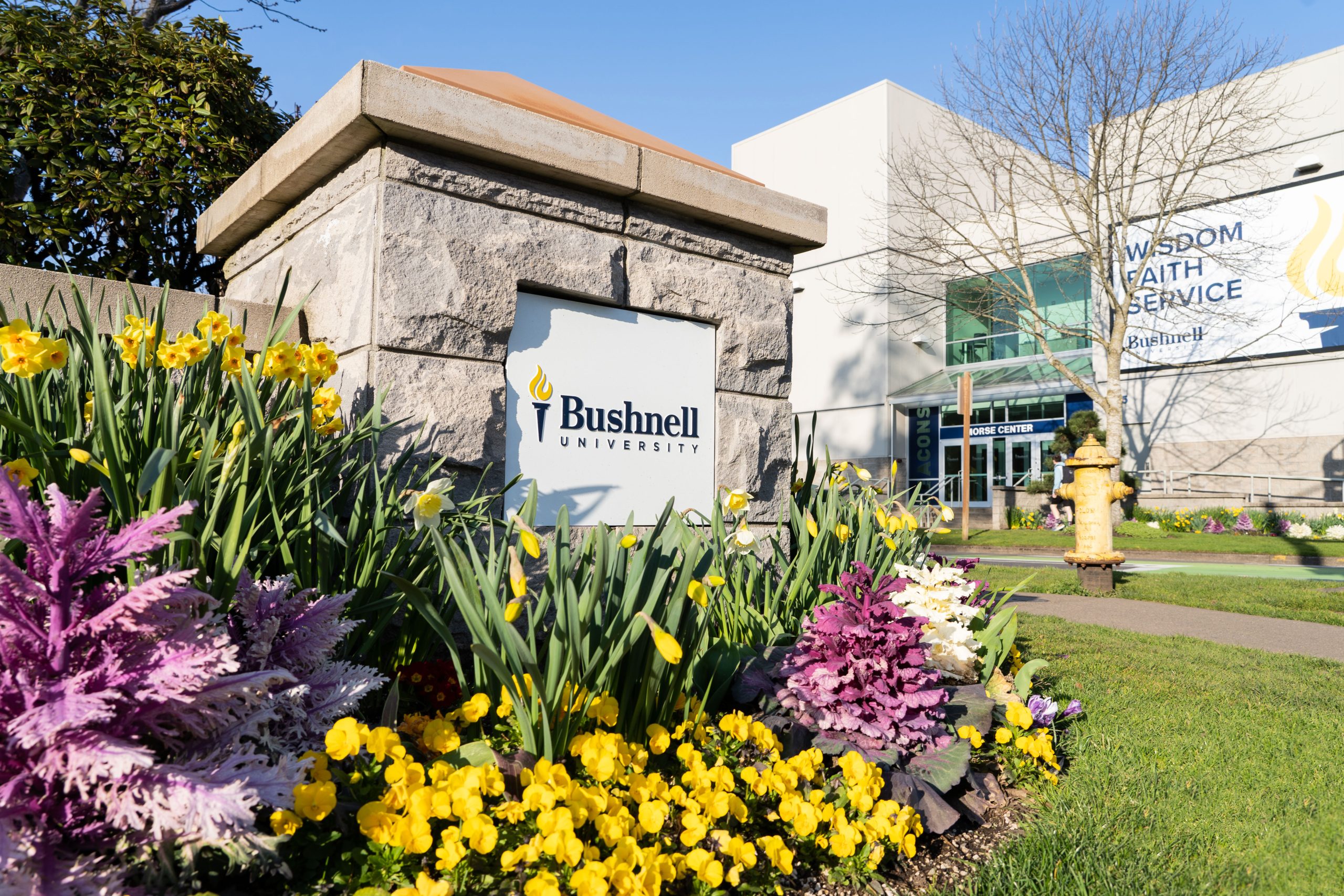 Bushnell University entrance sign surrounded by daffodils and colorful spring flowers with the Morse Center in the background.