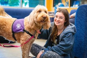 Therapy dog receives pets from a student during a wellness event.